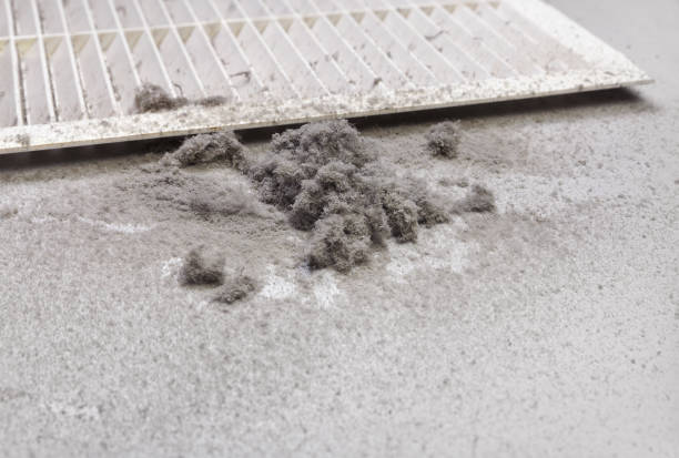 Best HVAC Air Duct Cleaning  in Haliimaile, HI