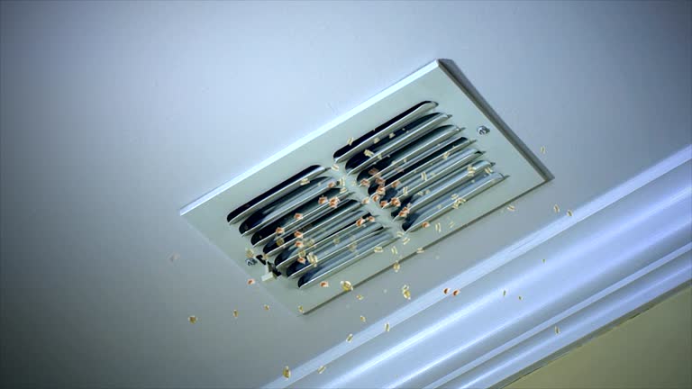 Best Residential Air Duct Cleaning  in Haliimaile, HI