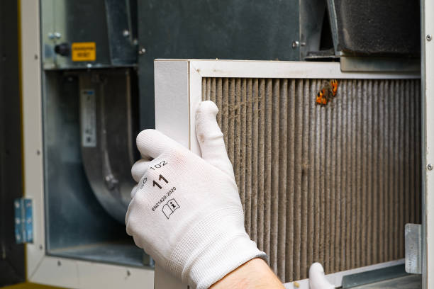 Best Emergency Air Duct Cleaning  in Haliimaile, HI