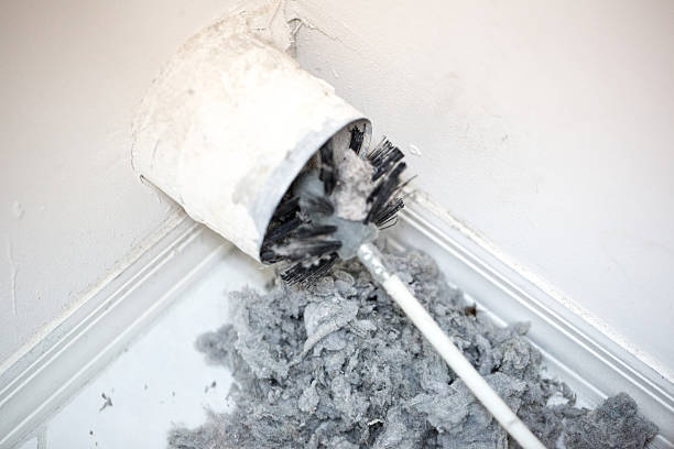  Haliimaile, HI Airduct Cleaning Pros