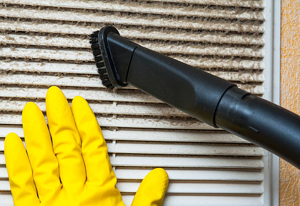 Best HVAC System Cleaning  in Haliimaile, HI